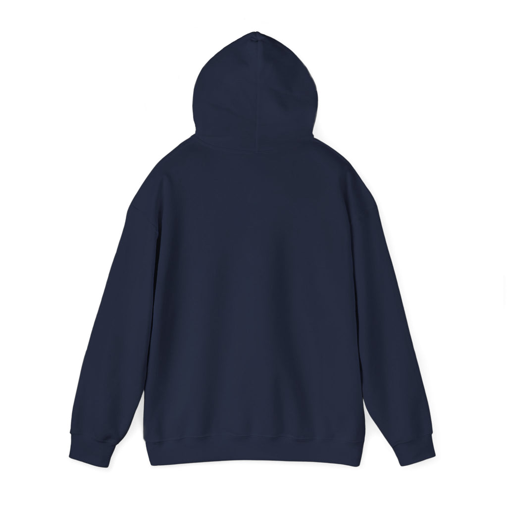 Hunt Mode On Hoodie | boys Easter sweatshirt, egg hunter, dinosaur egg camo